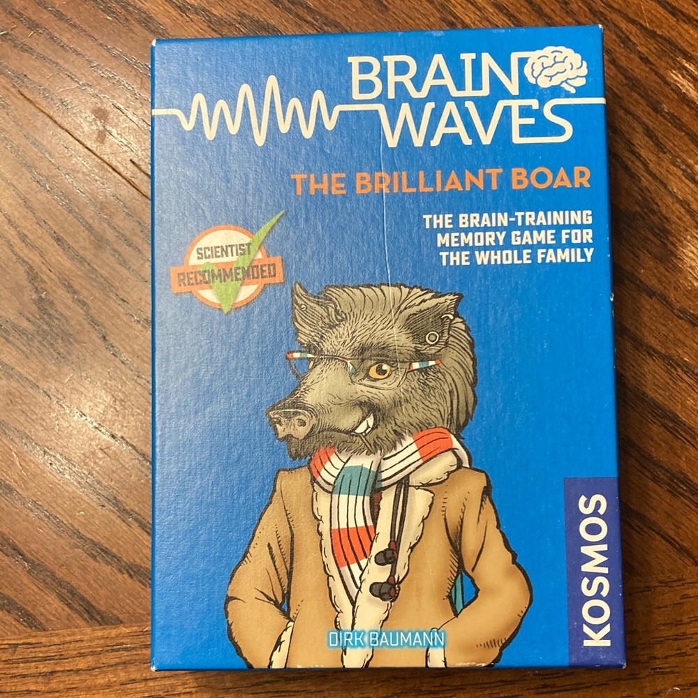 Brainwaves The Brilliant Boar Memory Game